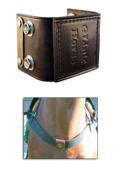 Q-Link SRT-3 (pandantiv equine manseta) - imagine 2